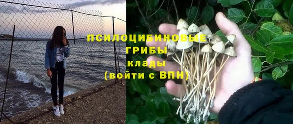 не бодяженный Алзамай