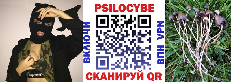 Галлюциногенные грибы мухоморы  купить наркоту  МЕГА ССЫЛКА  Салават 