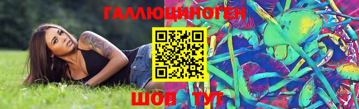 Псилоцибиновые грибы мицелий  Псилоцибиновые грибы GOLDEN TEACHER  Вход с VPN  Салават 